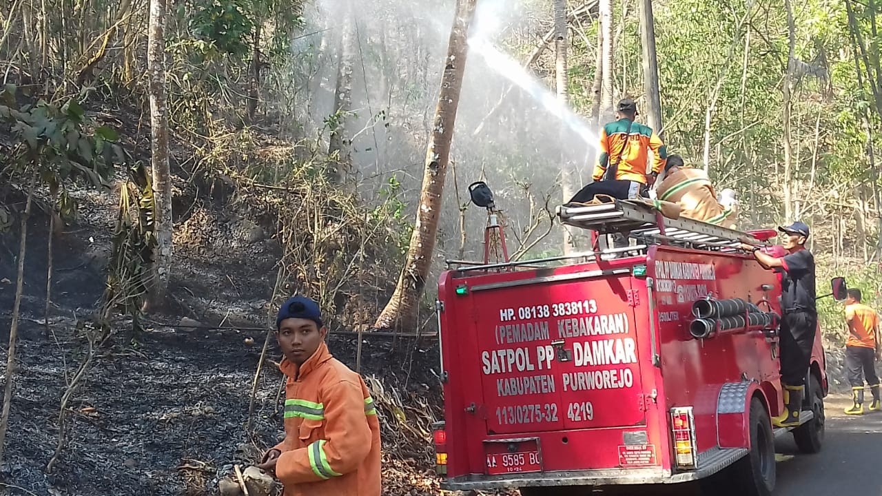 Kebakaran Lahan